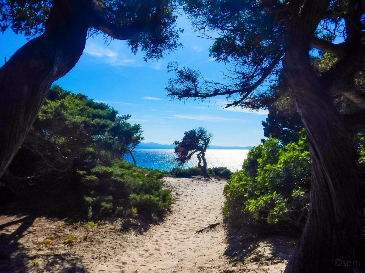 Hotel Marinaro Santa Teresa Gallura Dış mekan fotoğraf